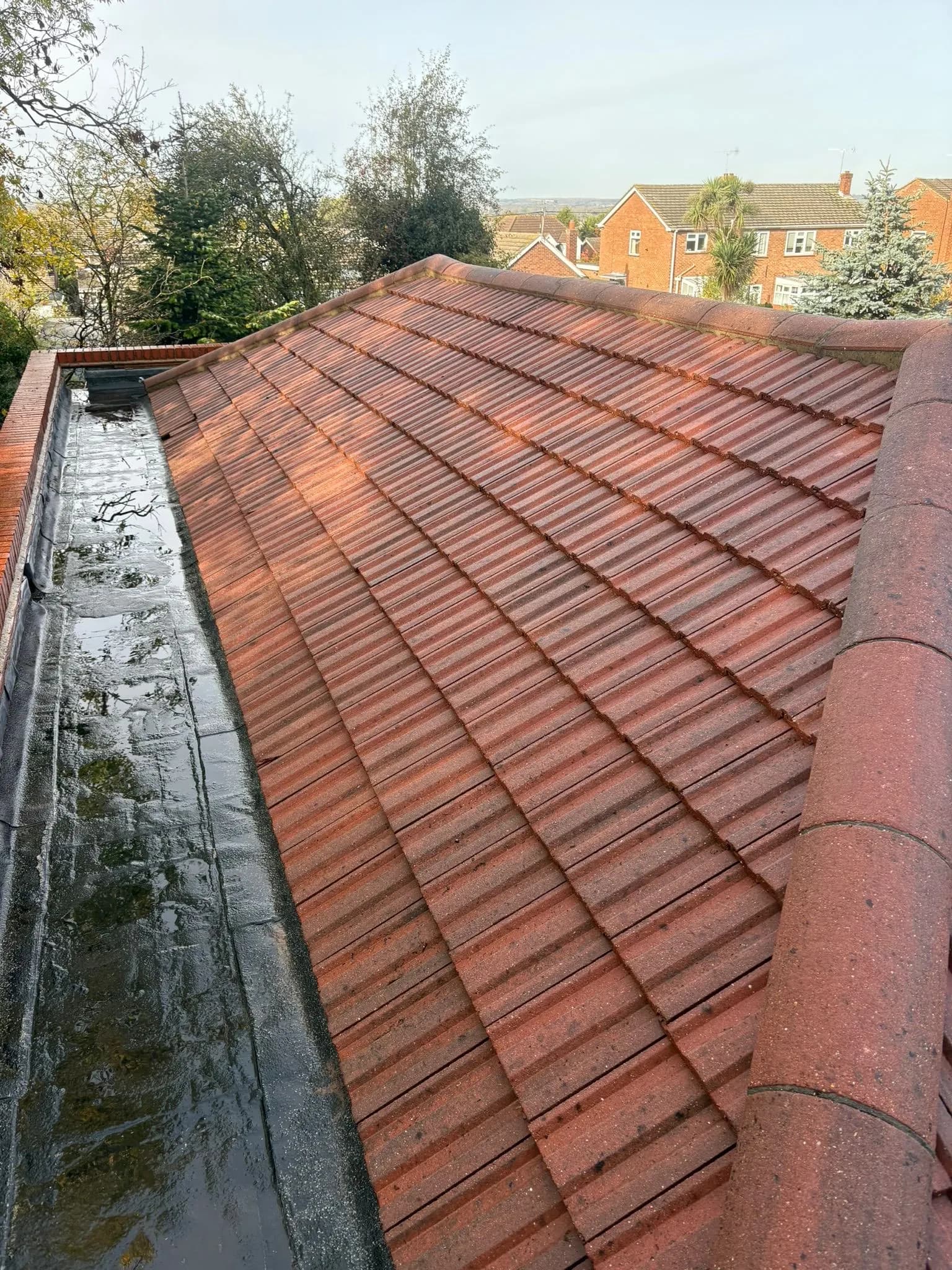 Customer photo from a completed Essex Moss Removal job in Essex