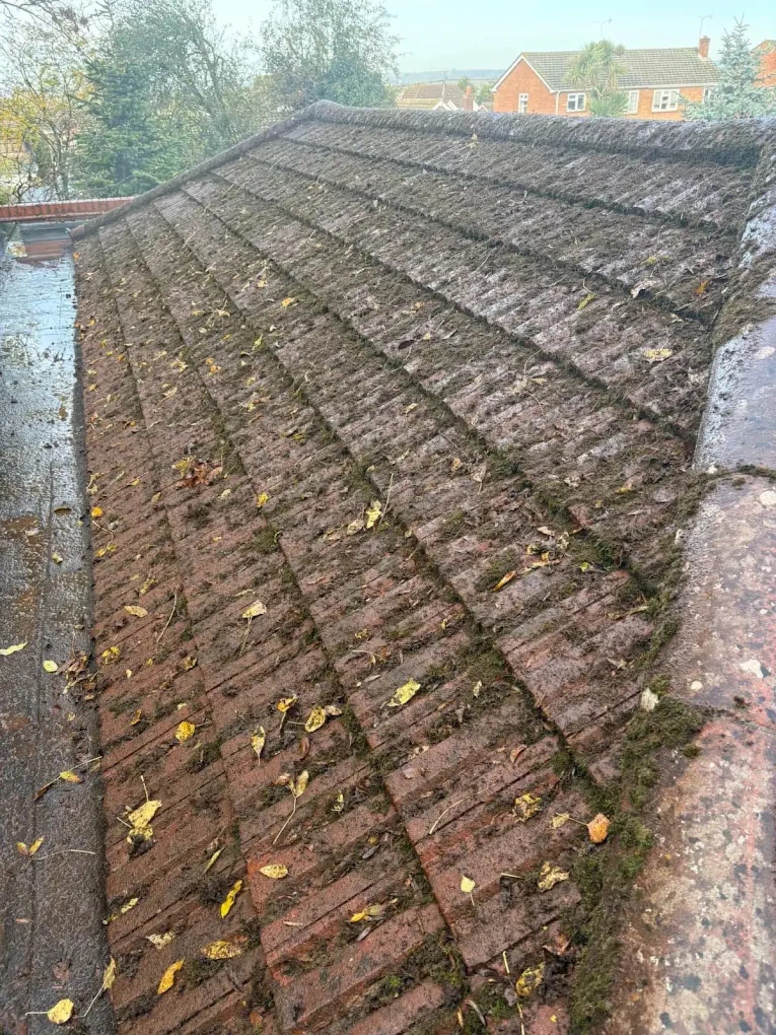Customer photo from a completed Essex Moss Removal job in Essex
