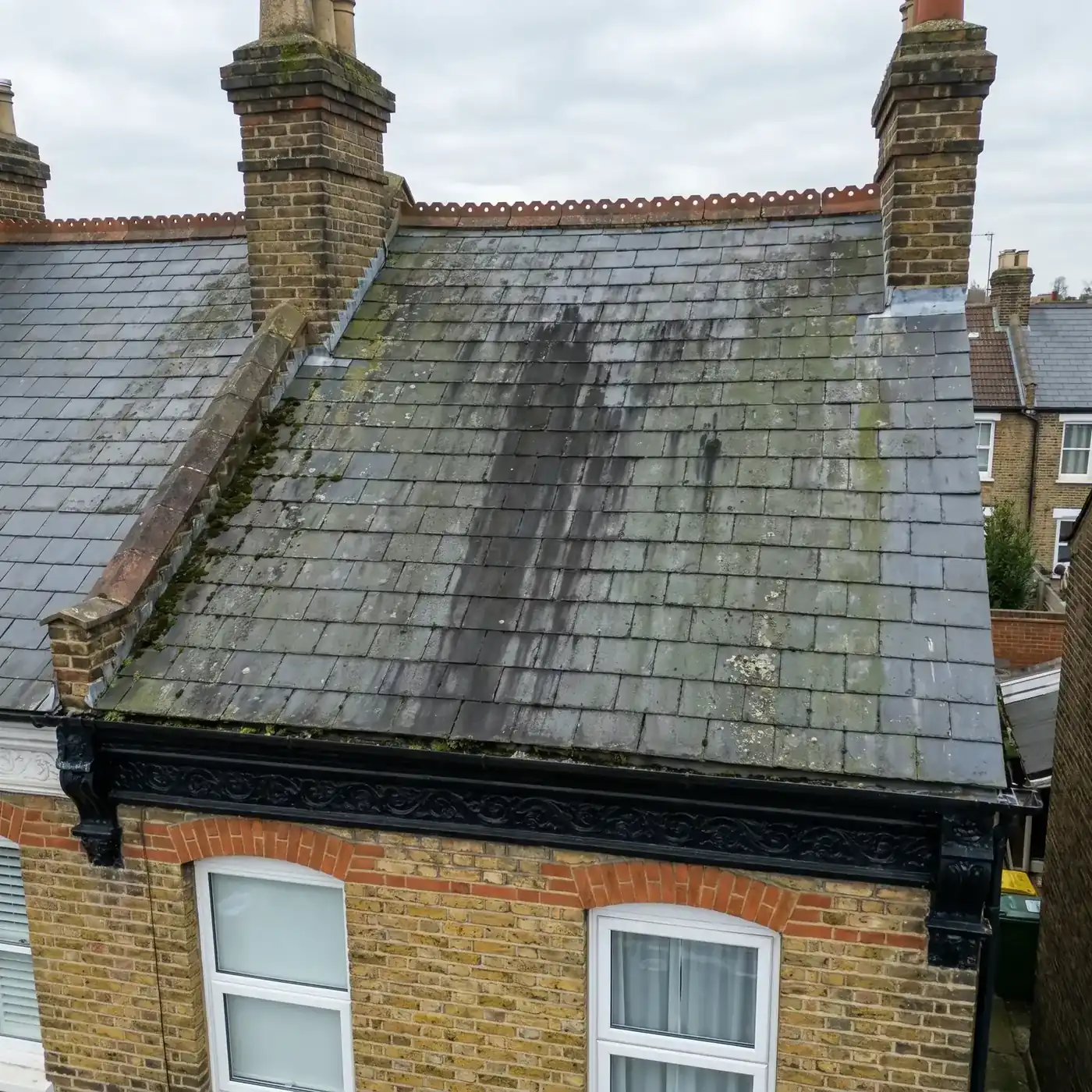 What Roof Moss Is Really Doing to Your Essex Home