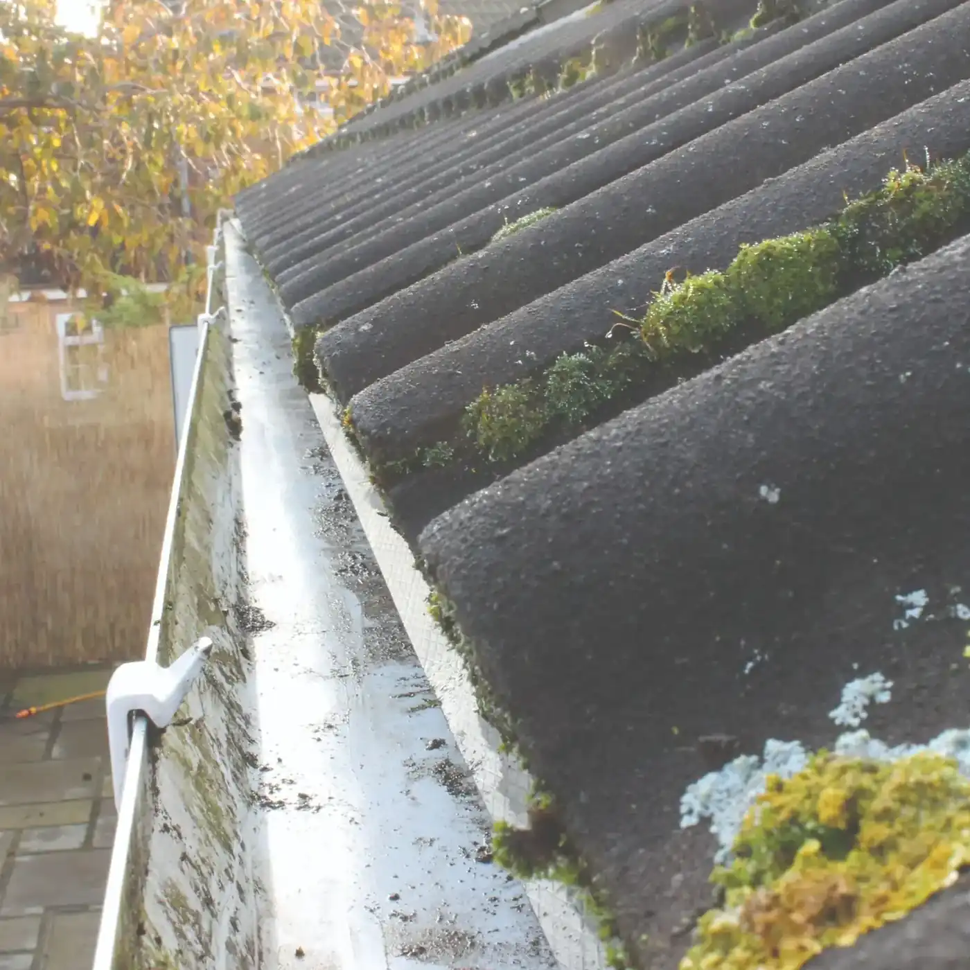 Gutter Cleaning Essex — moss removal before and after