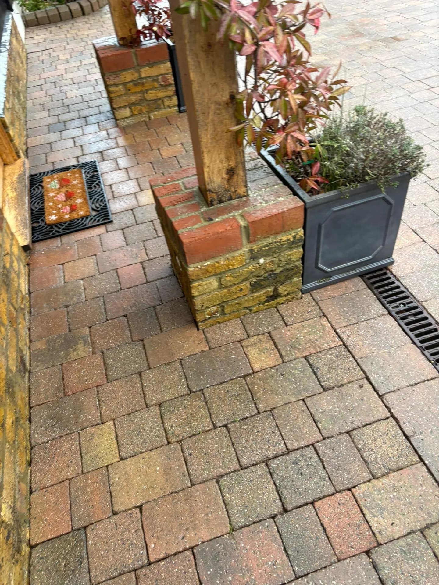Clean patio after treatment
