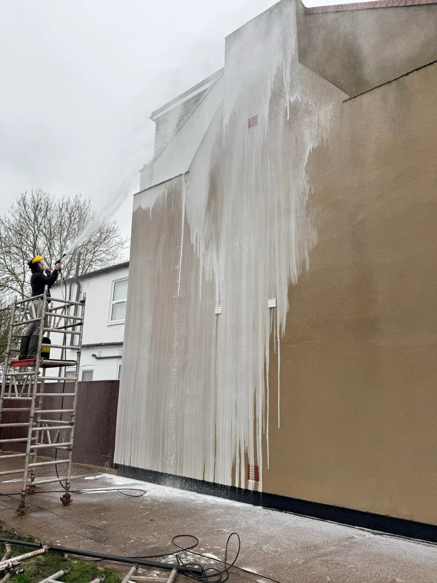 Wall & Render Moss Cleaning Essex — moss removal before and after